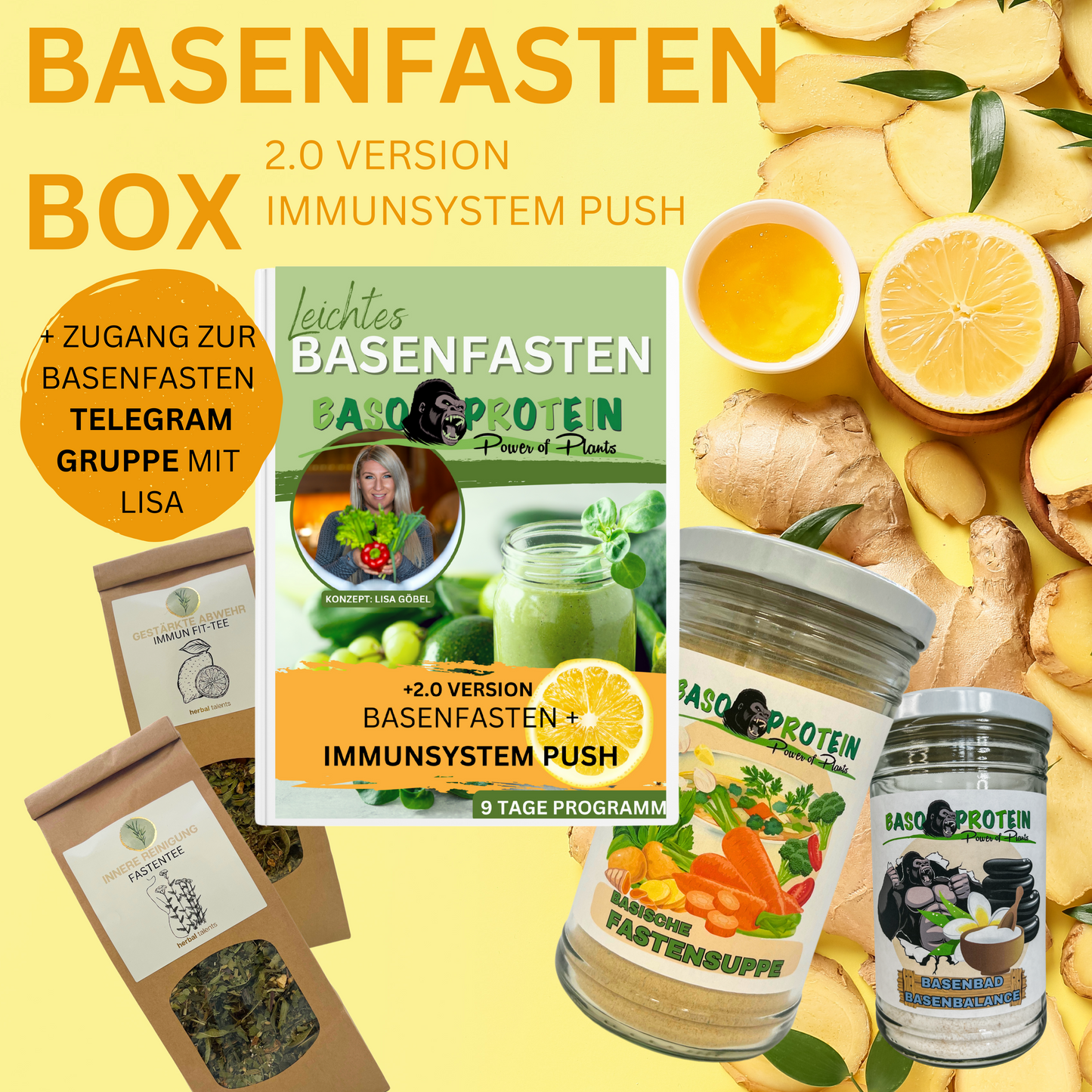 Grundbox Basenfasten 2.0 Version Immunsystem Push + TELEGRAM- GRUPPE